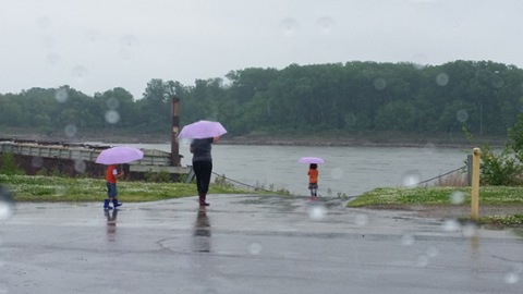 A walk in the rain for a trio of lavender umbrellas