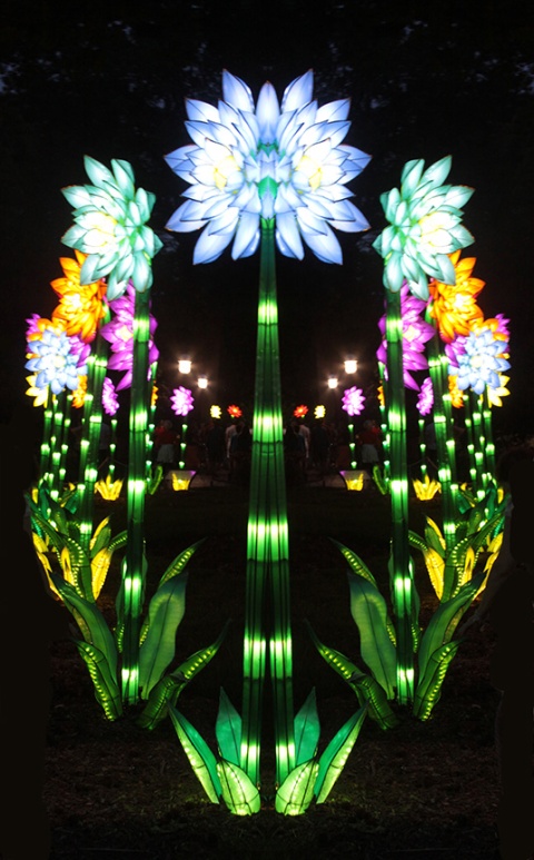 Mirror image of lighted flowers at Botanical Gardens